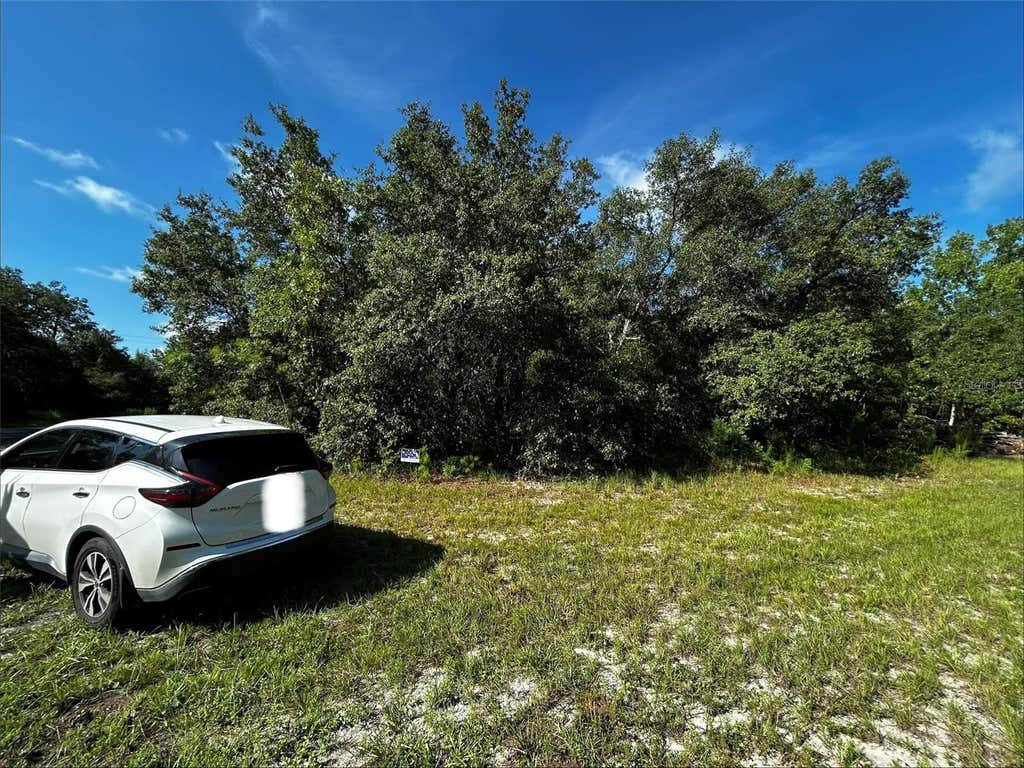 Photo of SW 148th Pl Road, Ocala, FL 34473 (MLS # A4702089)