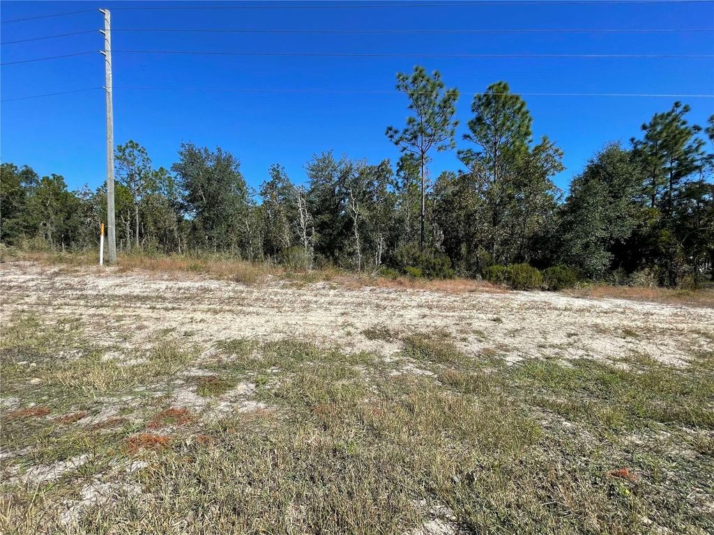 Photo of Tbd NE Highway 27 Alt, Bronson, FL 32621 (MLS # OM712000)