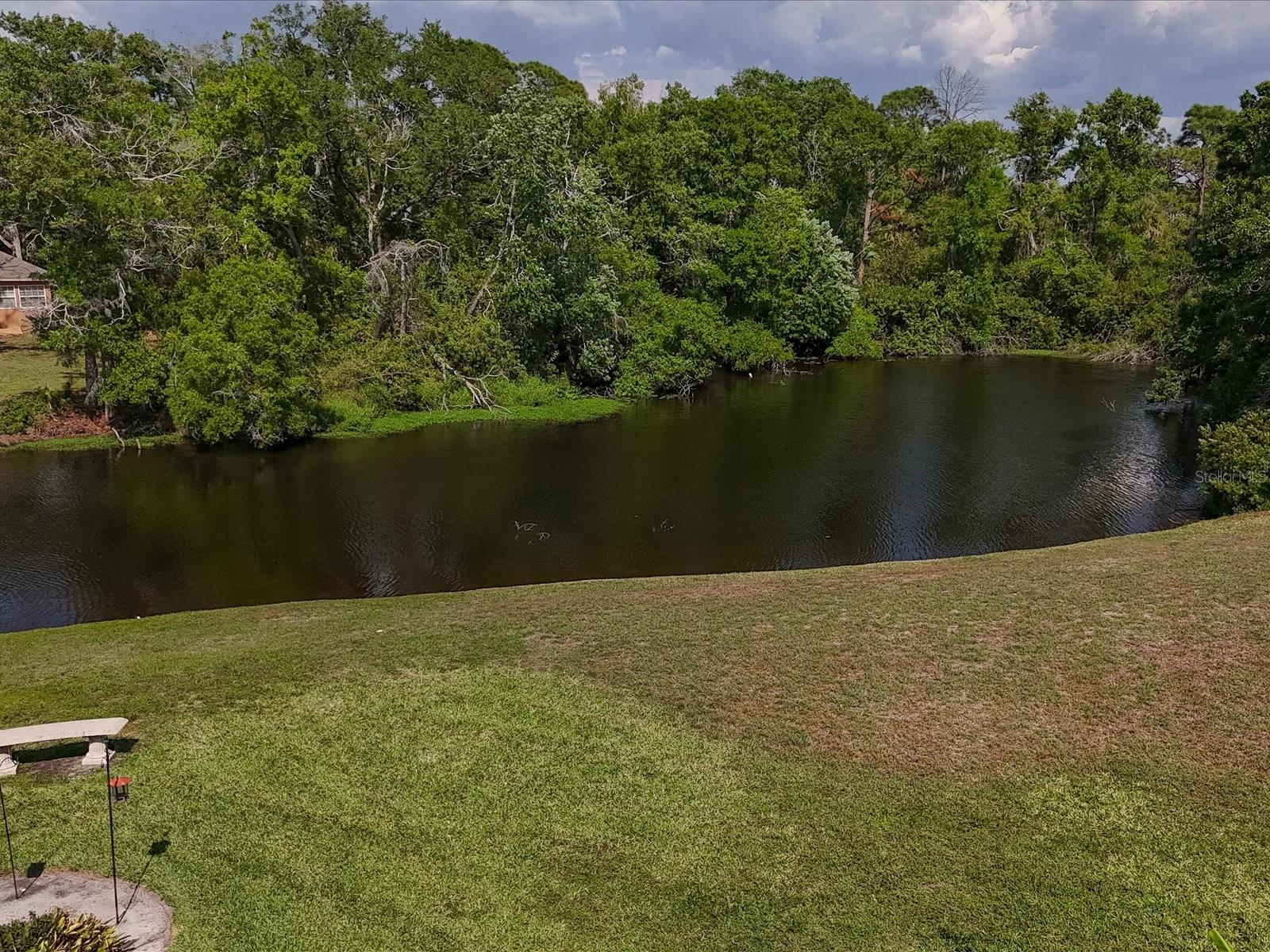 DESOTO PINES - Residential