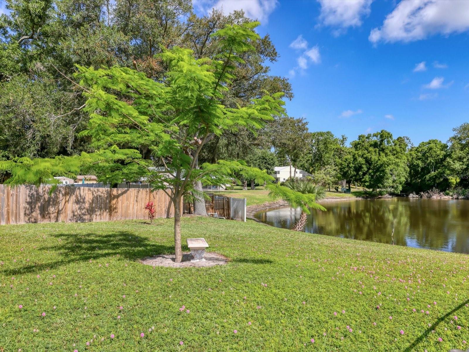 DESOTO PINES - Residential