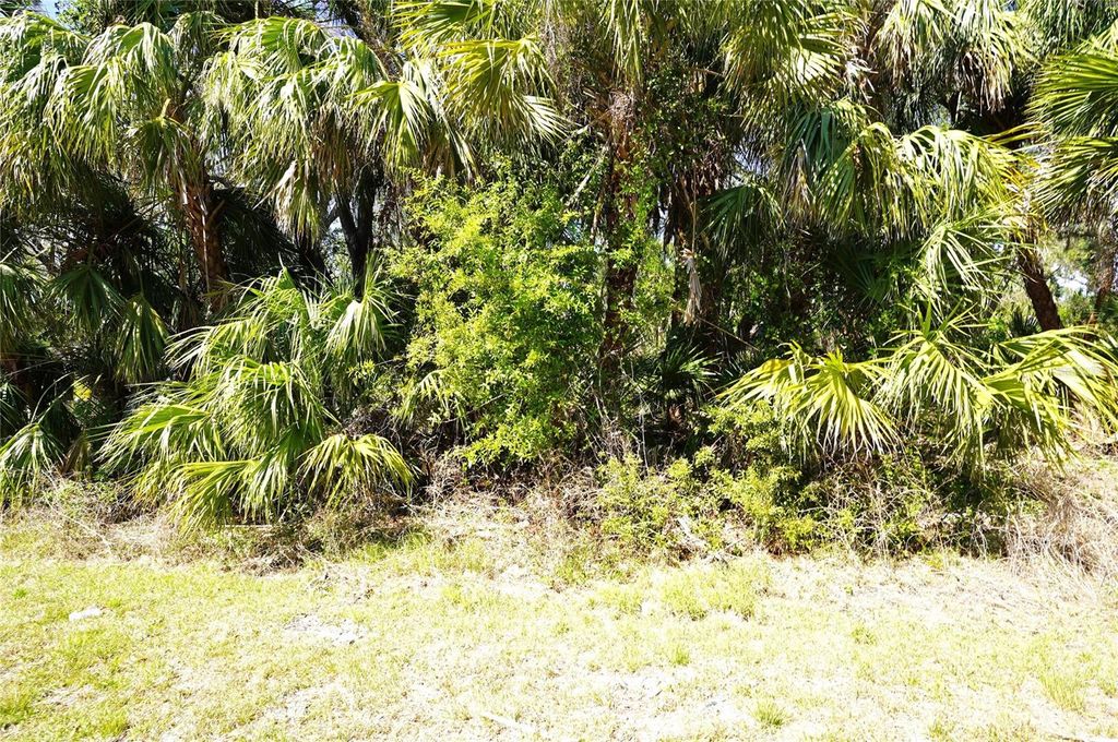 Photo of Walmsley Avenue, North Port, FL 34287 (MLS # C7507061)