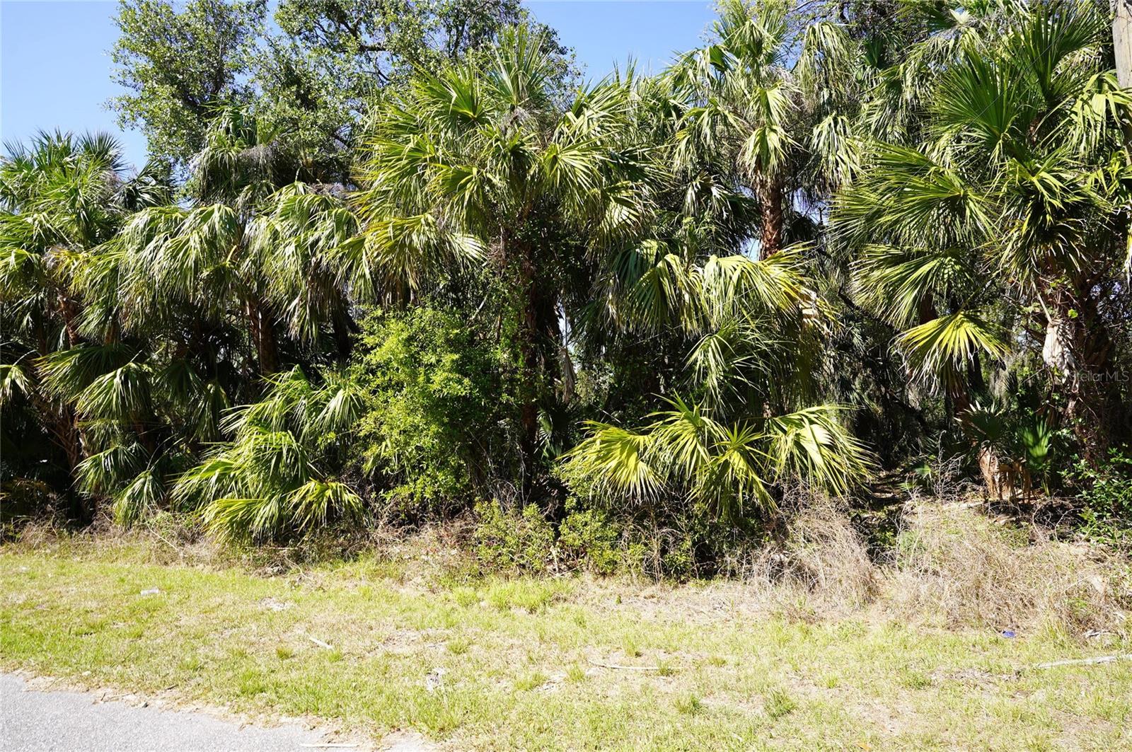 Buy and build or invest and wait. Location is close to Highway 41 or Tamiami Trail and Highway I-75. Lot size: 0.23 of acre = 10,000 sq ft. 80x125x80x125. Great location to invest or build your new home. Pick your own builder or ask for help. Conveniently located close to I-75 and local amenities, beaches, and Tiki Bars and Live entertainment daily. The best Tarpon and red game fishing in the world with off speed boat racing to spring training baseball teams as The Atlanta Braves and Tampa Rays baseball teams. Just want to go to the local beaches (Port Charlotte, Boca Grande, Englewood and Sarasota beaches) or fishing for the day. Great to do it all with whatever you can dream or do as a hobby. Local International Airports: Fort Myers, Sarasota and local Punta Gorda with Allegiant airlines direct. Many outdoor concert venues weekly. Many local Tiki Clubs watch live entertainment to have a Sunset view. Local parks, state parks, tennis or pickleball, to amazing golf courses. You deserve to view this property and make it your home or investment.