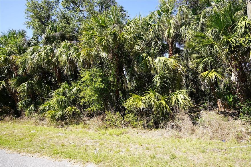 Buy and build or invest and wait. Location is close to Highway 41 or Tamiami Trail and Highway I-75. Lot size: 0.23 of acre = 10,000 sq ft. 80x125x80x125. Great location to invest or build your new home. Pick your own builder or ask for help. Conveniently located close to I-75 and local amenities, beaches, and Tiki Bars and Live entertainment daily. The best Tarpon and red game fishing in the world with off speed boat racing to spring training baseball teams as The Atlanta Braves and Tampa Rays baseball teams. Just want to go to the local beaches (Port Charlotte, Boca Grande, Englewood and Sarasota beaches) or fishing for the day. Great to do it all with whatever you can dream or do as a hobby. Local International Airports: Fort Myers, Sarasota and local Punta Gorda with Allegiant airlines direct. Many outdoor concert venues weekly. Many local Tiki Clubs watch live entertainment to have a Sunset view. Local parks, state parks, tennis or pickleball, to amazing golf courses. You deserve to view this property and make it your home or investment.