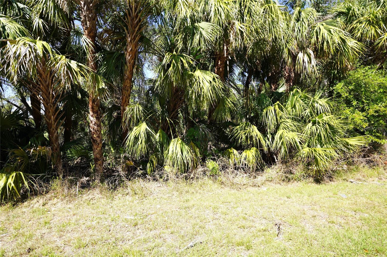 PORT CHARLOTTE SUB 01 - Land