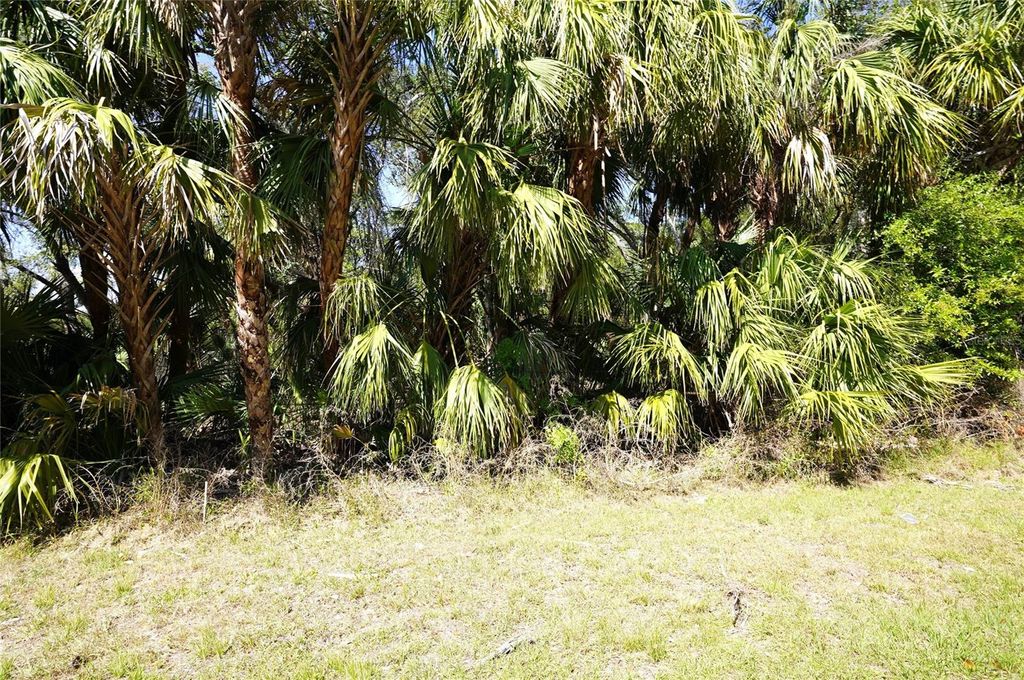 Photo of Walmsley Avenue, North Port, FL 34287 (MLS # C7507061)