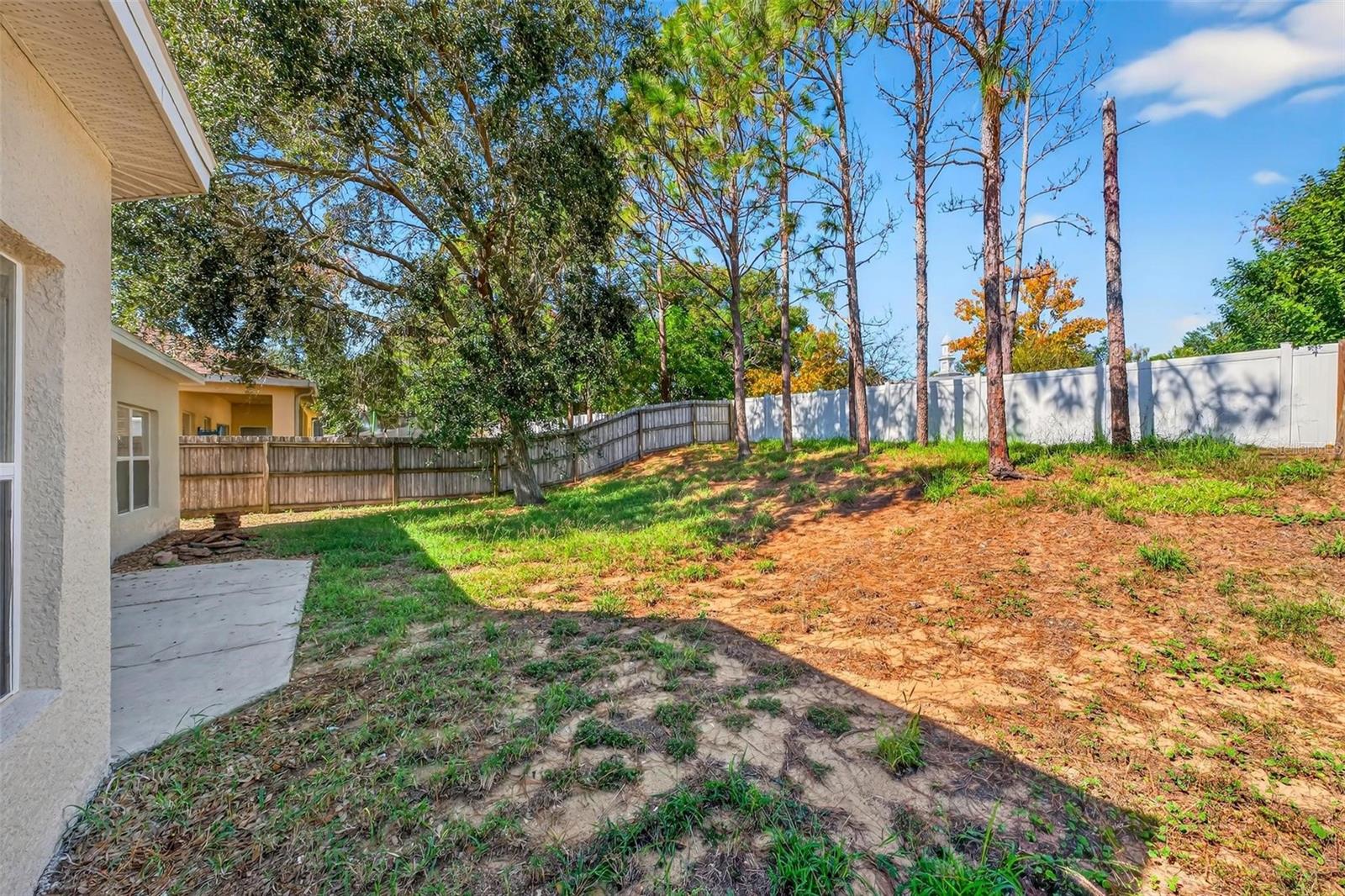 TAVARES PINES AT LAKE SAUNDERS PH 02 - Residential