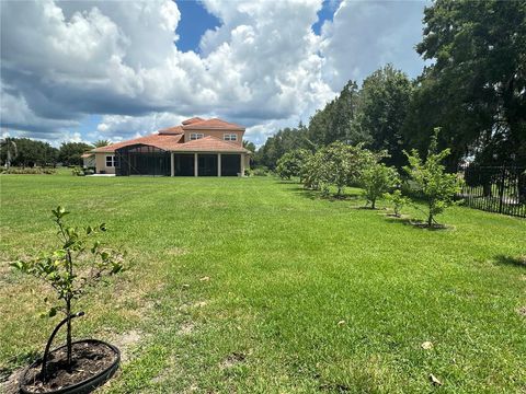 A home in ORLANDO