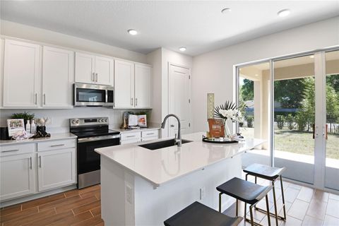 A home in APOPKA