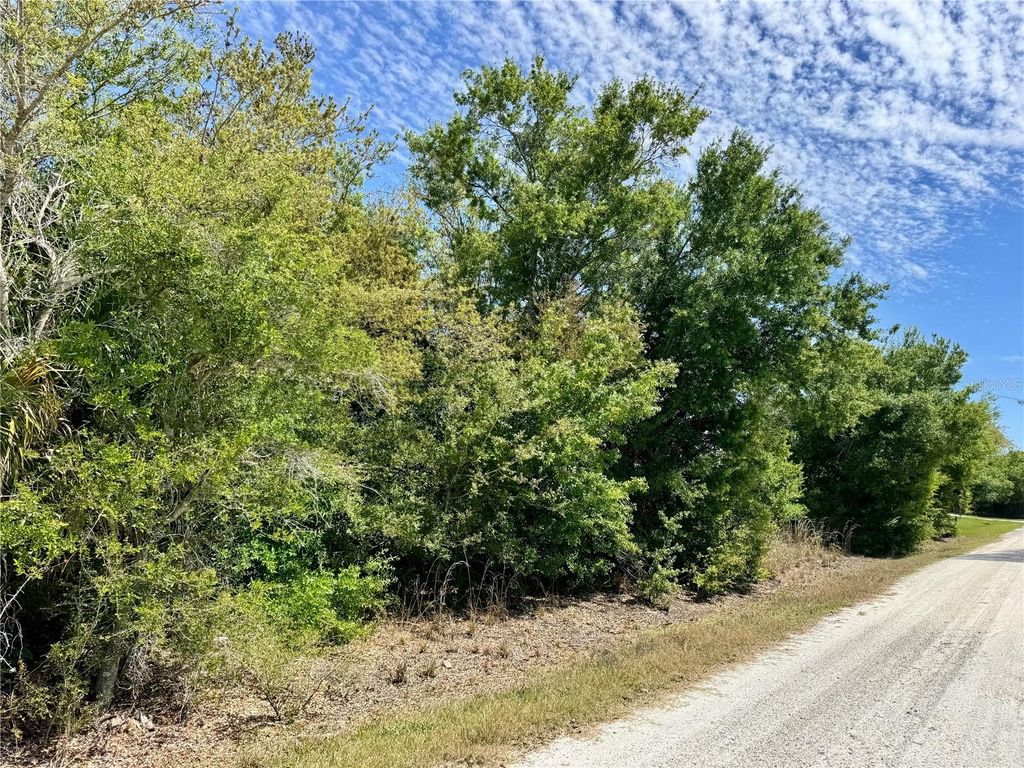 Photo of 27054 Mingo Drive, Punta Gorda, FL 33955 (MLS # C7523854)