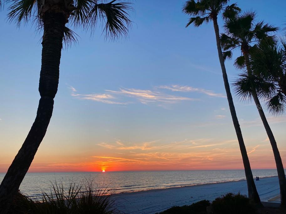 LONE PALM BEACH 1ST ADITION - Residential