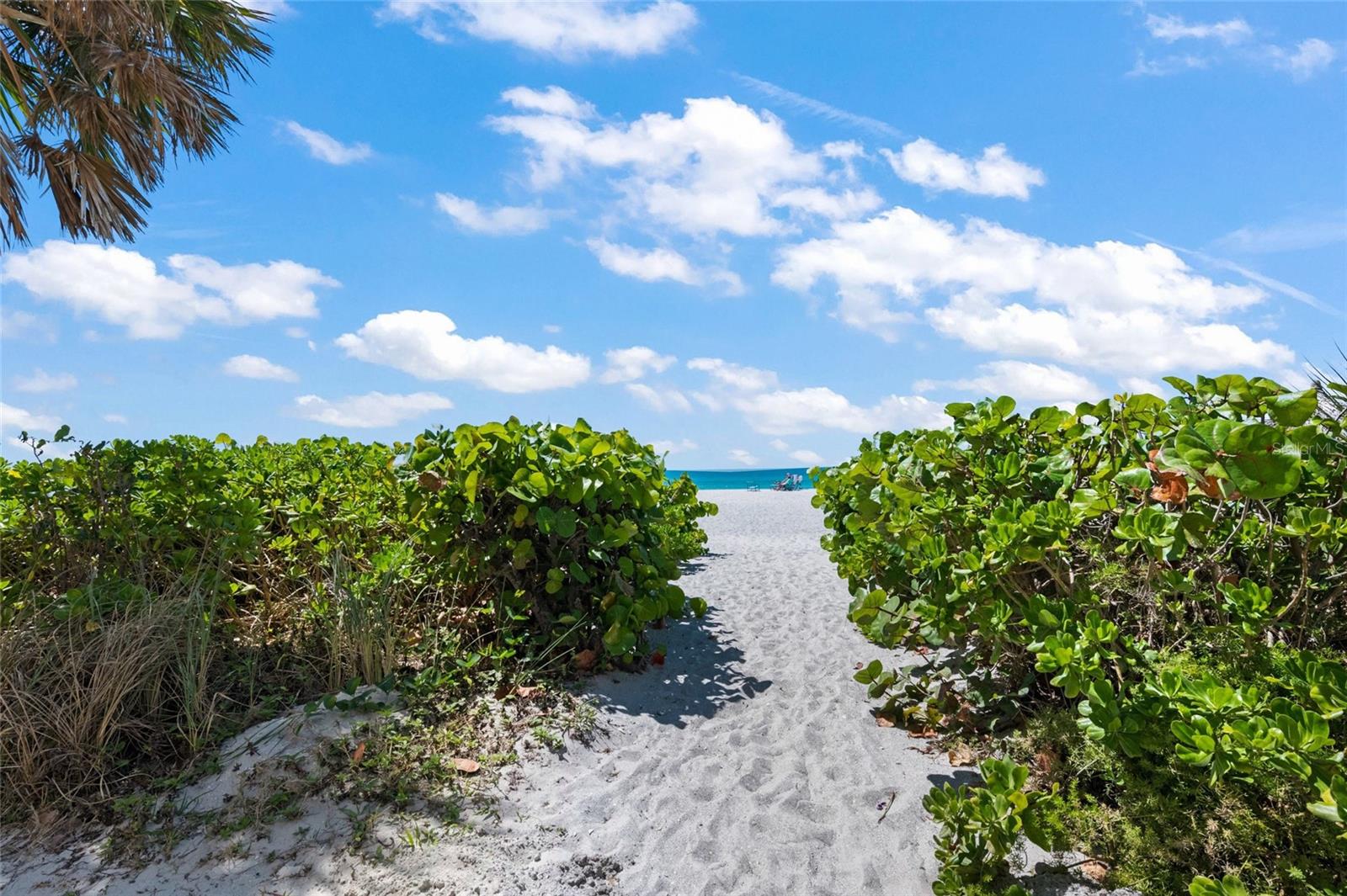 ST. REGIS LONGBOAT KEY - Residential