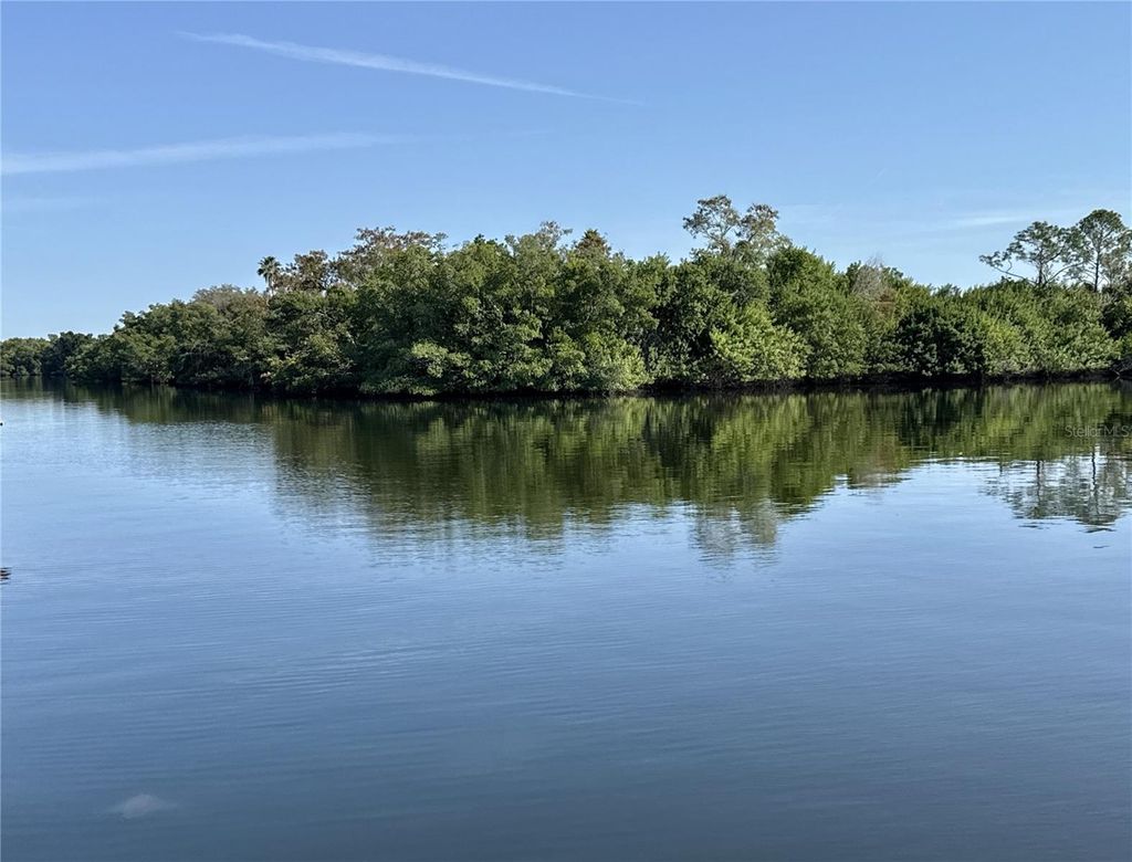 Photo of 340 Mount Oak Avenue NE #754, St Petersburg, FL 33702 (MLS # TB8454044)