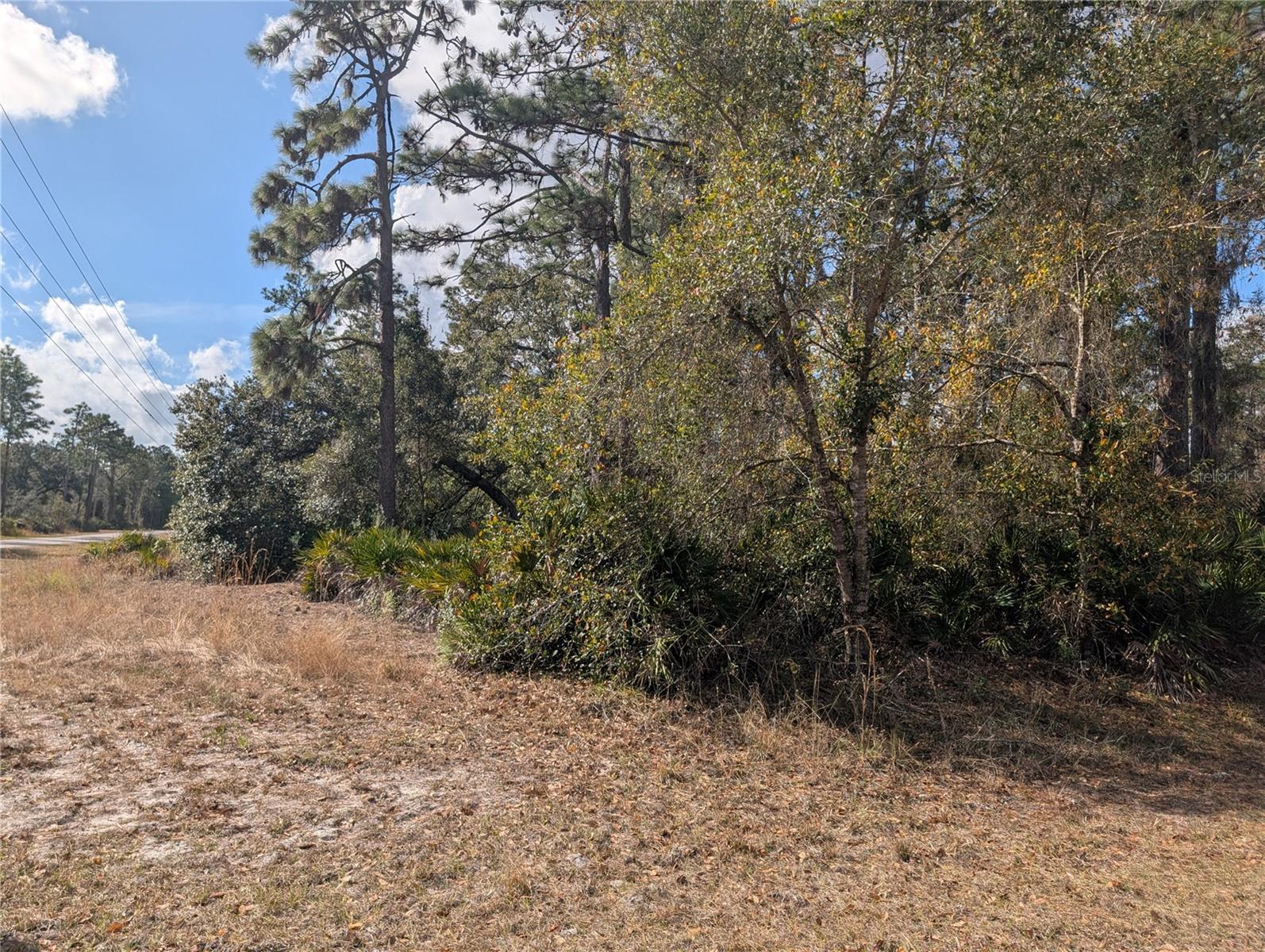 INDIAN LAKE ESTATES - Land