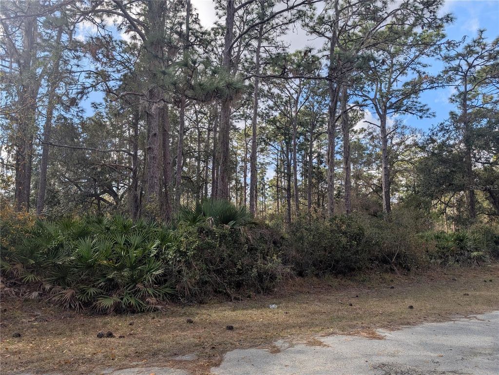 Photo of Allamanda Drive, Indian Lake Estates, FL 33855 (MLS # P4937831)