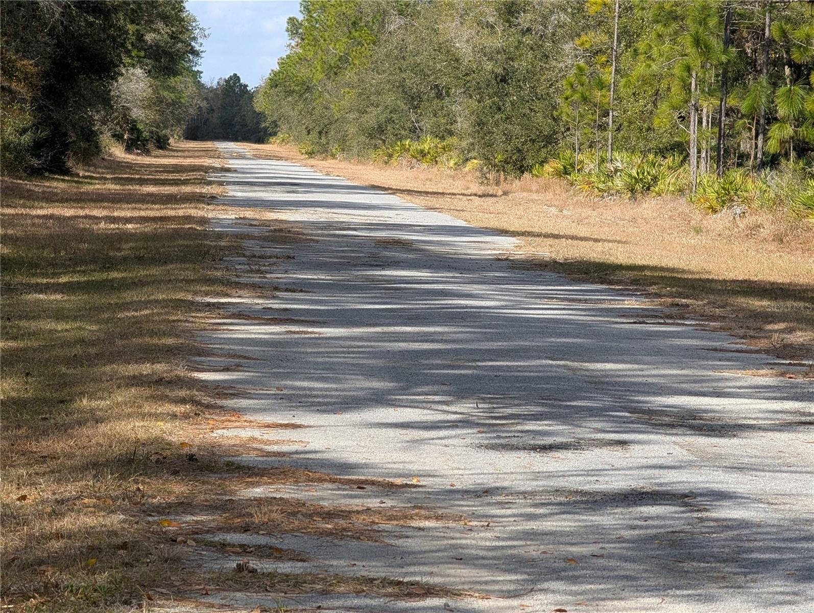 INDIAN LAKE ESTATES - Land