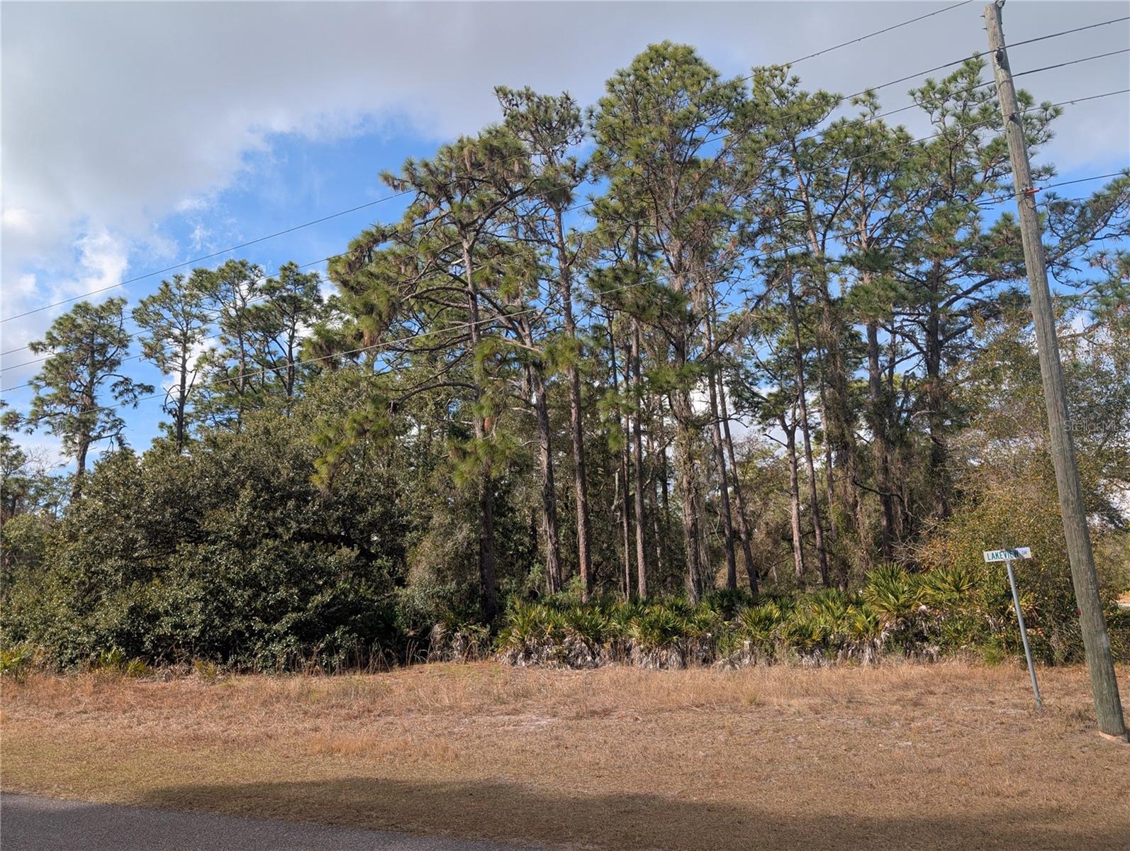 INDIAN LAKE ESTATES - Land