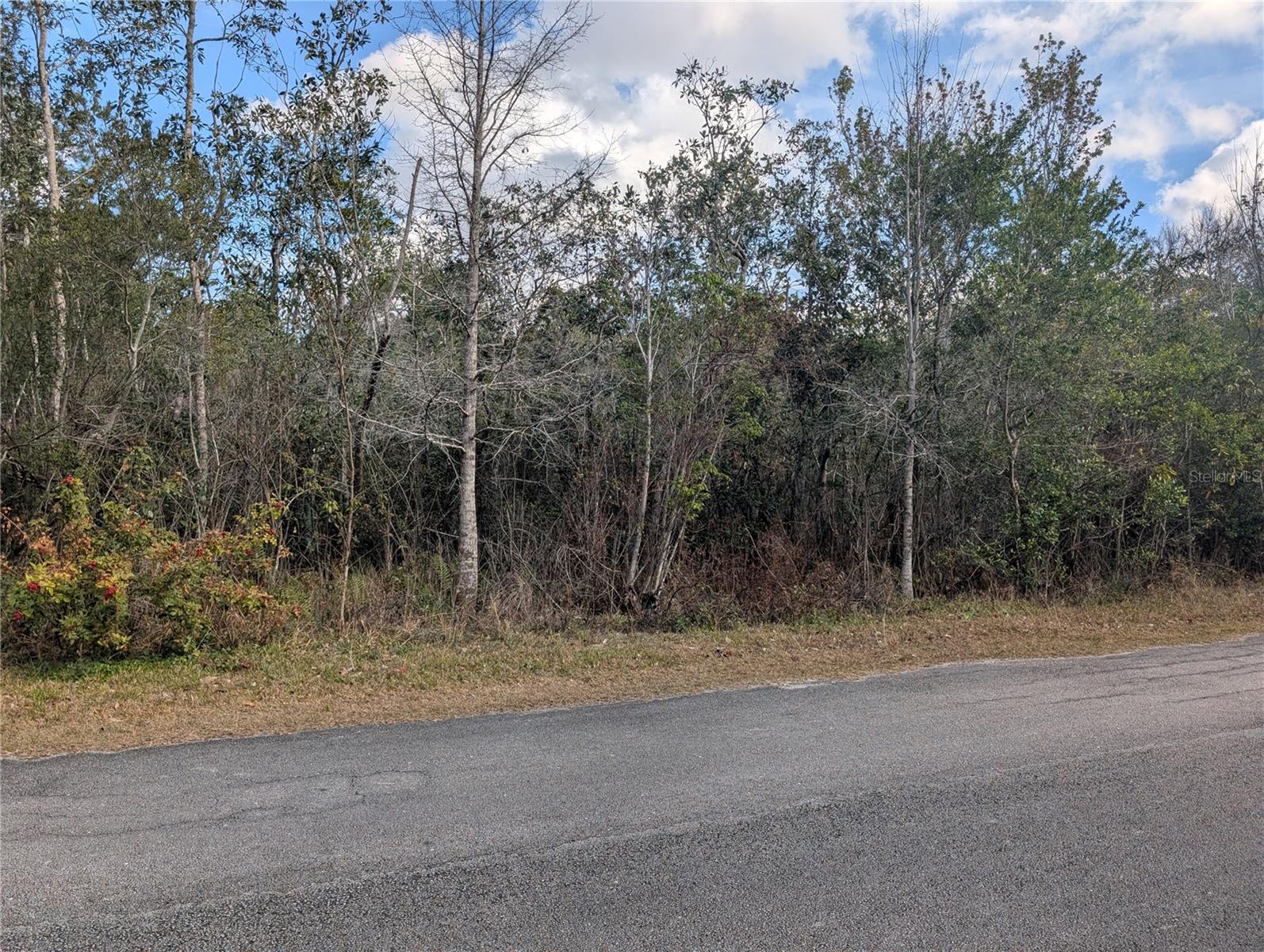 INDIAN LAKE ESTATES - Land