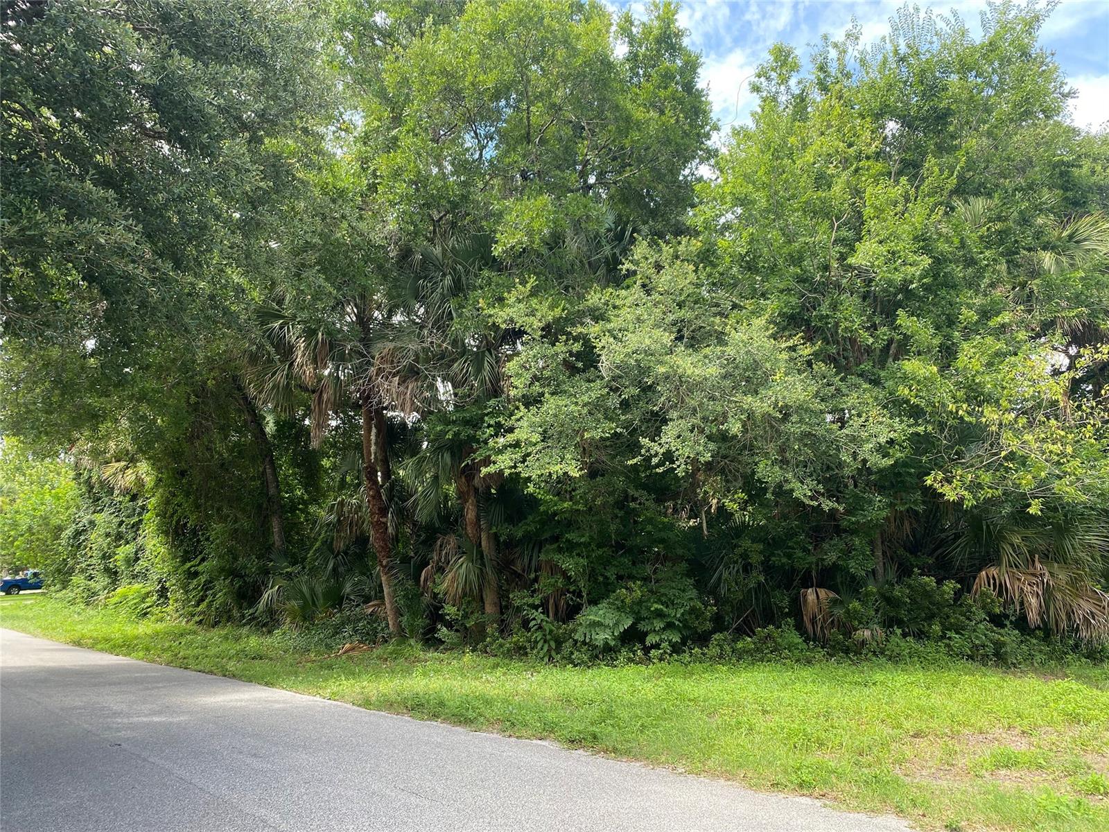 Here is your chance to build your dream home on this double lot. Two lots combined both 80x125 to make a 160x125 lot. 1 block off Hwy 442 on the East side of the road between addresses 1923 and 2003.; Cleared: No