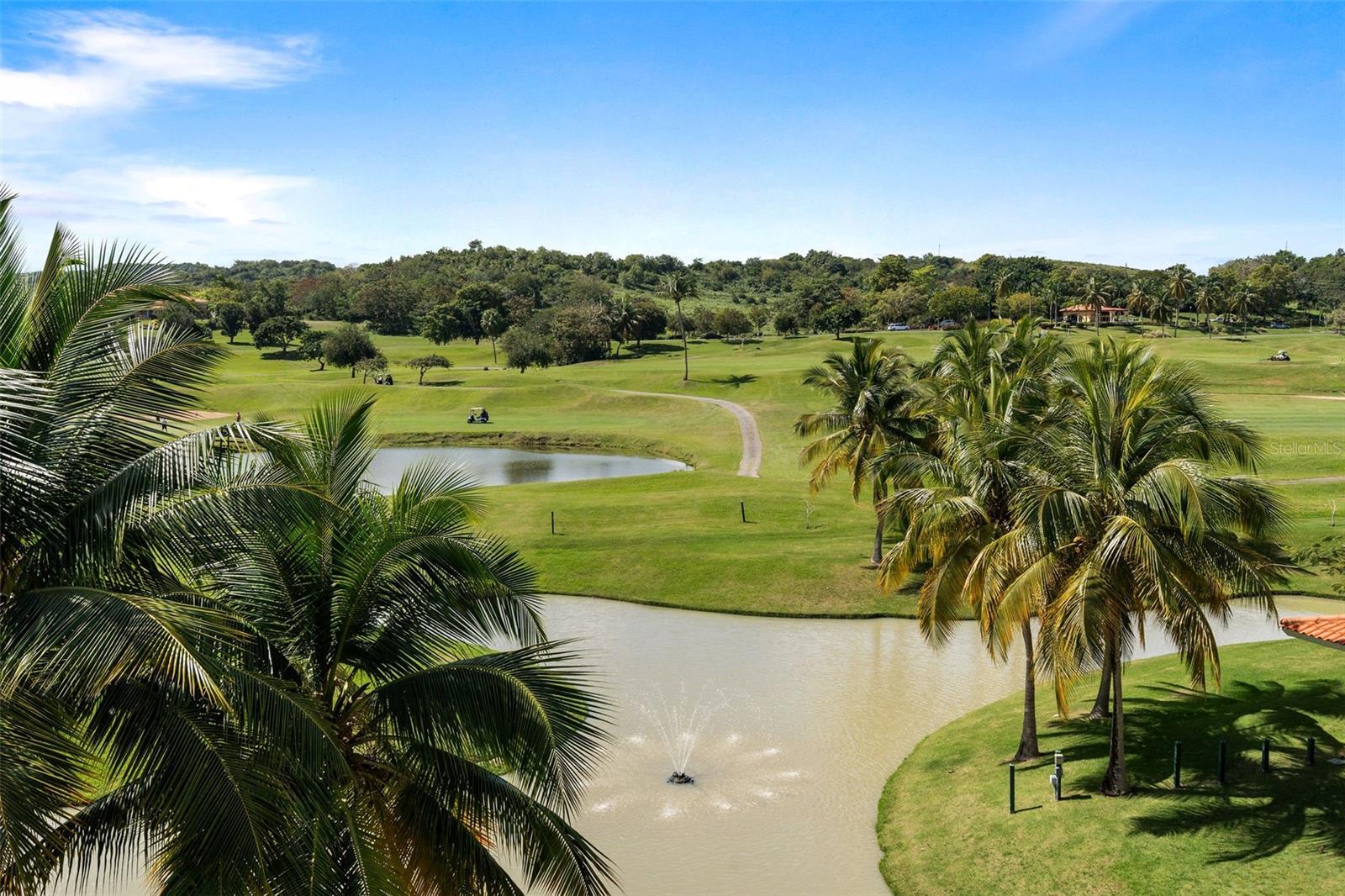 THE WOODS - Residential