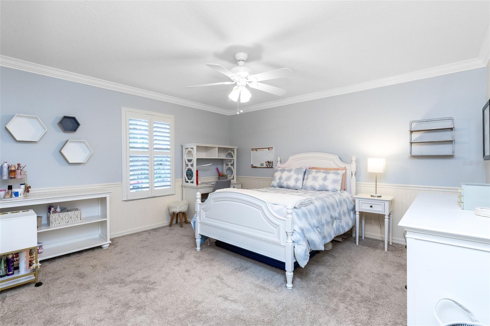 CHESTNUT RIDGE - Residential