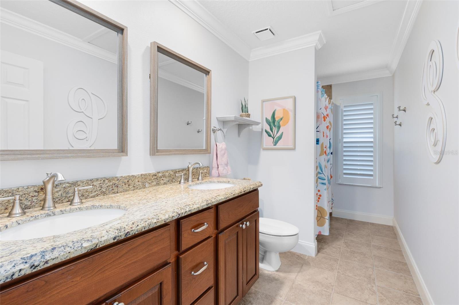 CHESTNUT RIDGE - Residential