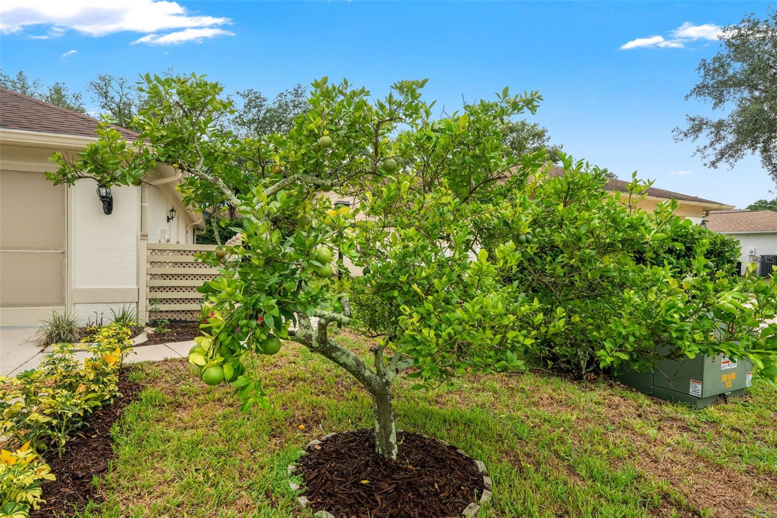 7350 ROSEMONT LANE