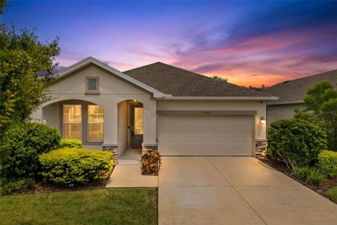 Photo of 15133 Caravan Avenue, Odessa, FL 33556 (MLS # TB8466444)