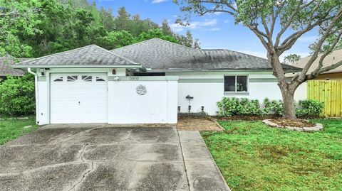Photo of 5909 Bitterwood Court, Tampa, FL 33625 (MLS # TB8494763)