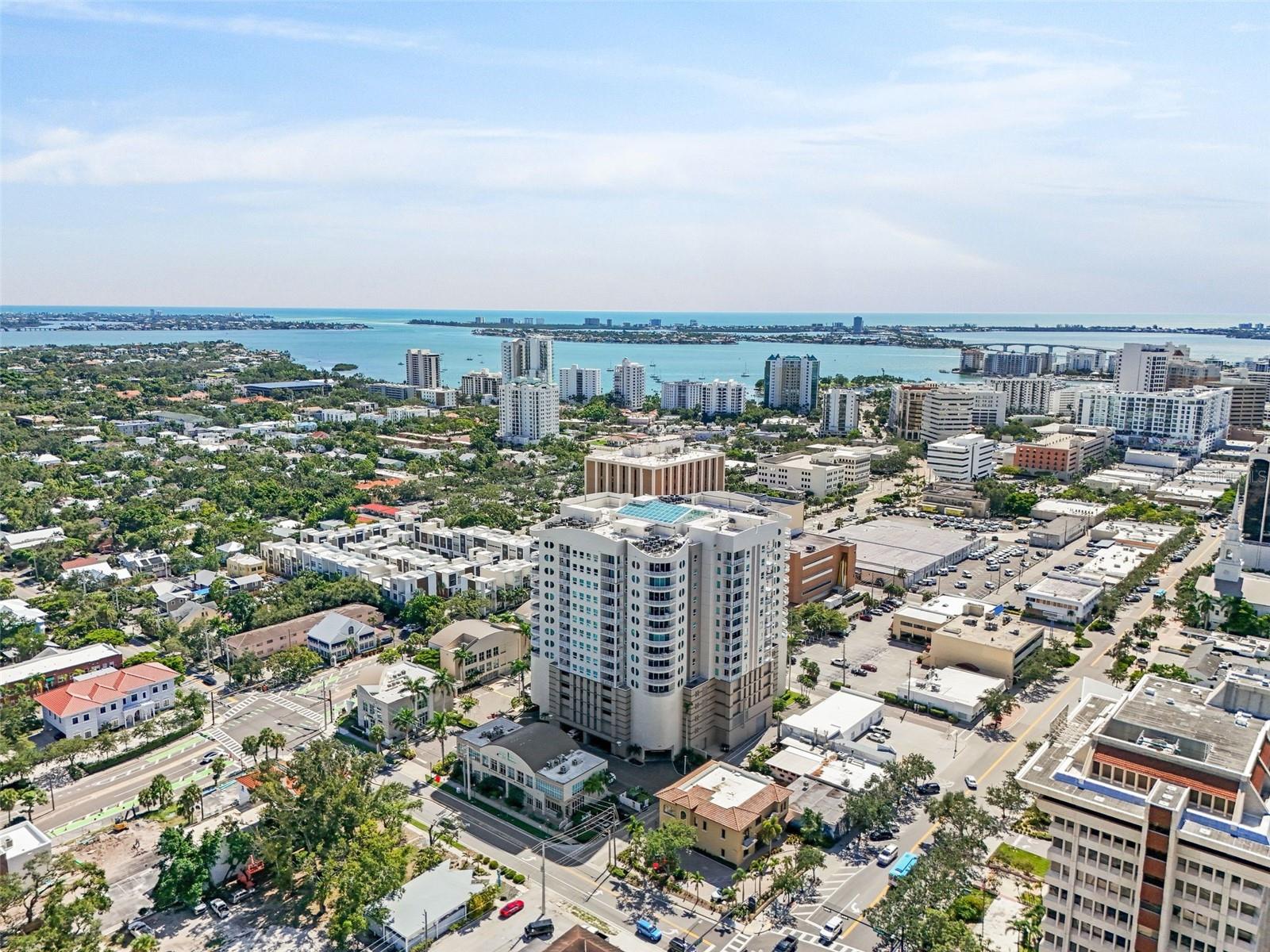 RIVO AT RINGLING - Residential