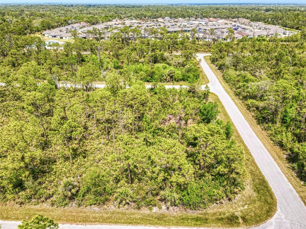 Photo of 15204 Plant Avenue, Port Charlotte, FL 33953 (MLS # O6294327)