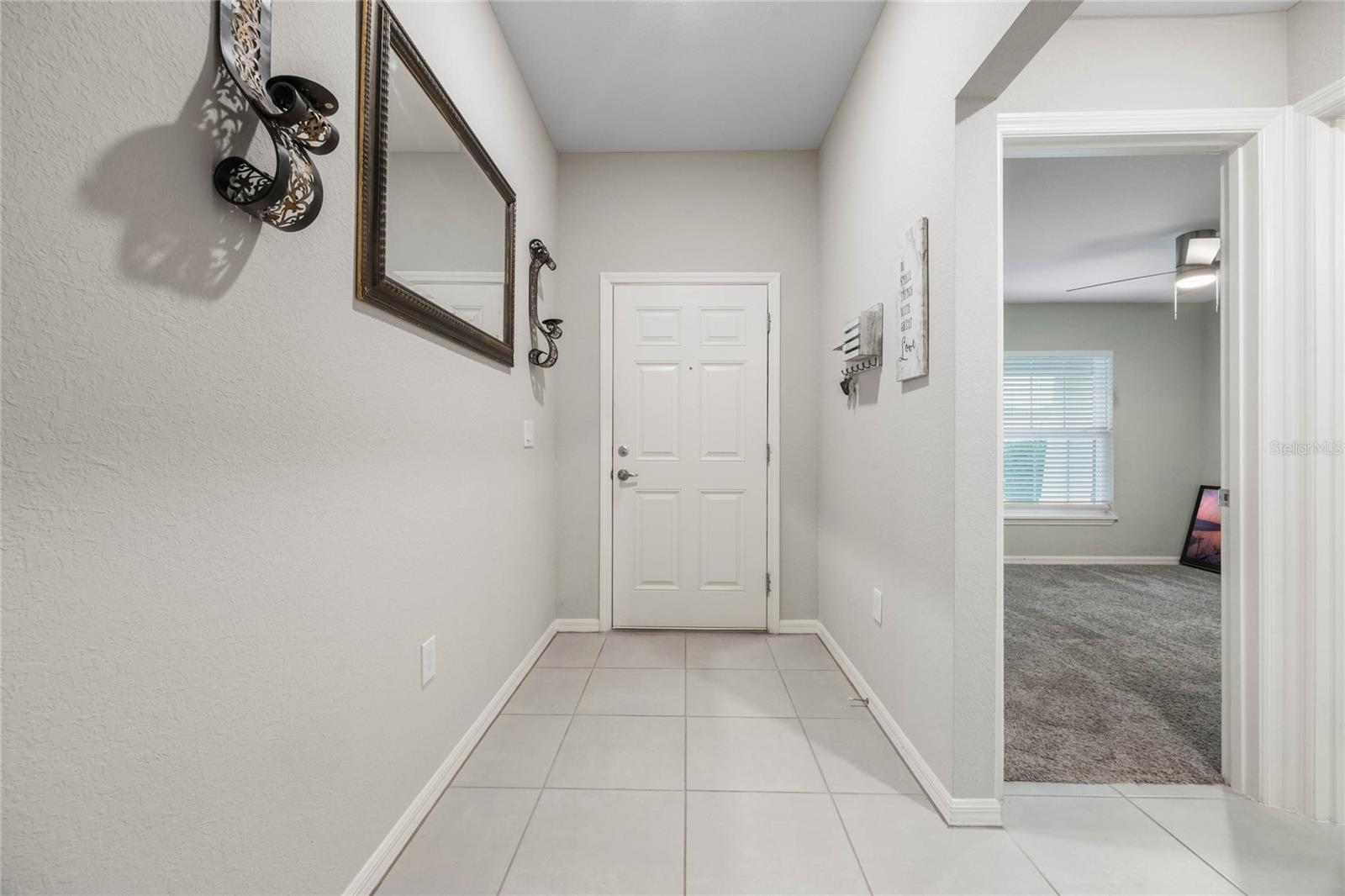 220 FOXTAIL LOOP