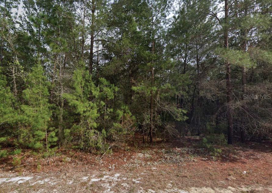 Situated within the scenic Interlachen Lakes Estates, this spacious residential lot offers a tranquil and wooded backdrop perfect for creating a dream home or retreat. The seller is also offering additional parcels in Putnam and Washington Counties and is open to discounted pricing for multiple-lot purchases. All information is deemed reliable but should be independently verified.