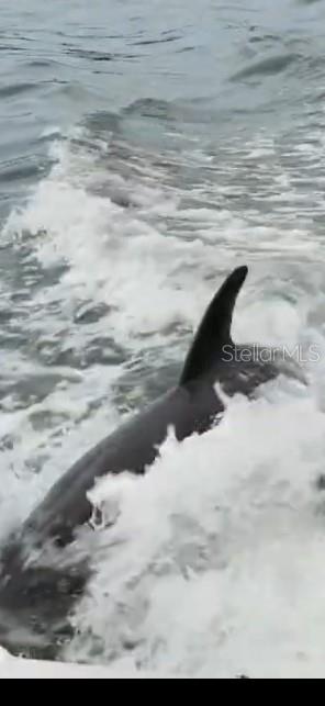 OVERBROOK GARDENS - Residential