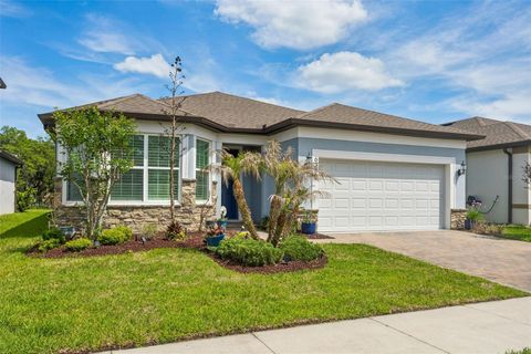 Photo of 6382 Bradford Woods Drive, Zephyrhills, FL 33542 (MLS # TB8497232)