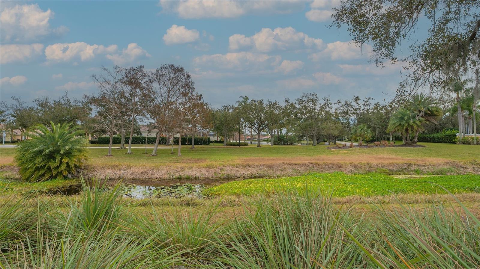 VILLAGEWALK - Residential