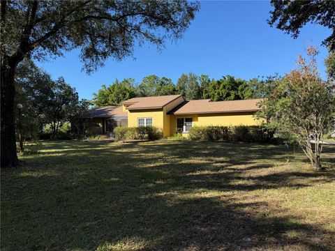 Photo of 6547 Lake Irene Drive, Land O Lakes, FL 34638 (MLS # TB8443868)