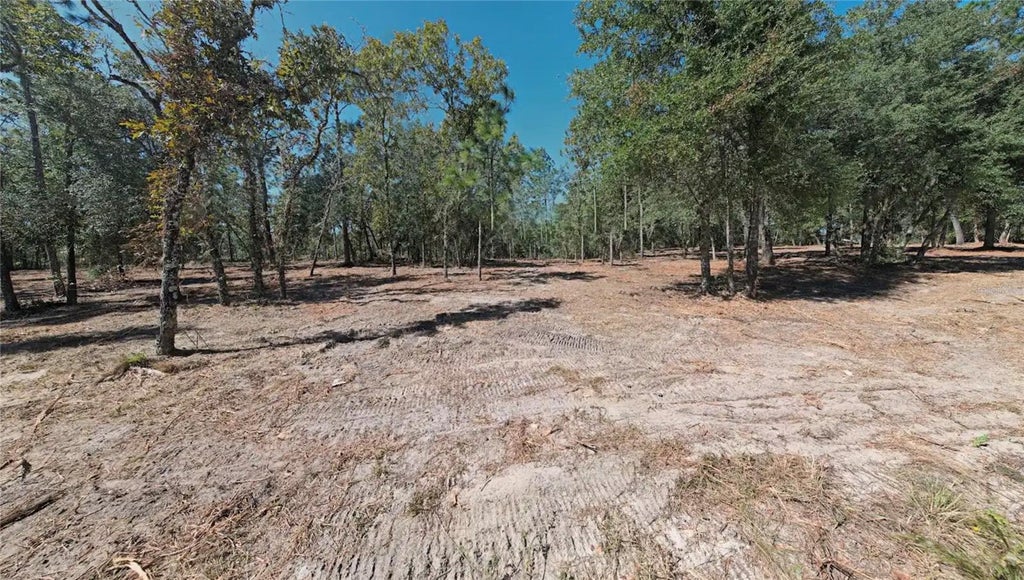 Photo of NE 16th Place, Williston, FL 32696 (MLS # O6451288)