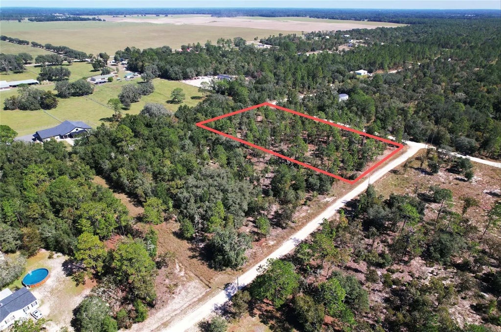 Photo of NE 16th Place, Williston, FL 32696 (MLS # O6451288)
