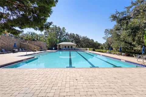 A home in MOUNT DORA