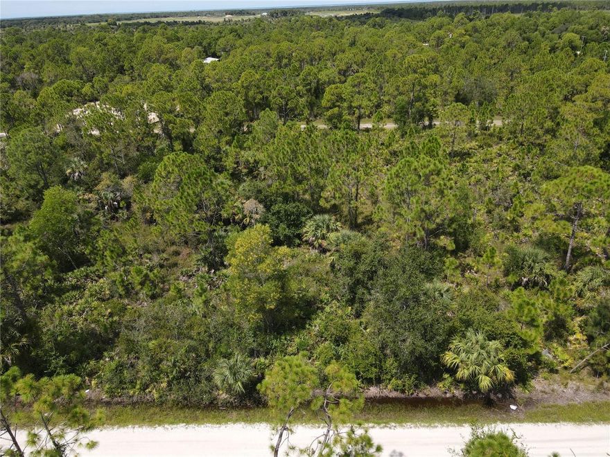 Great opportunity to secure your own piece of Tropical Gulf Acres! This desirable lot offers both privacy and convenience, tucked in a growing community with easy access to I-75, shopping, dining, and schools. With development on the rise, now is the ideal time to invest in this sought-after area. Don’t wait—schedule a visit today and see the potential for yourself!