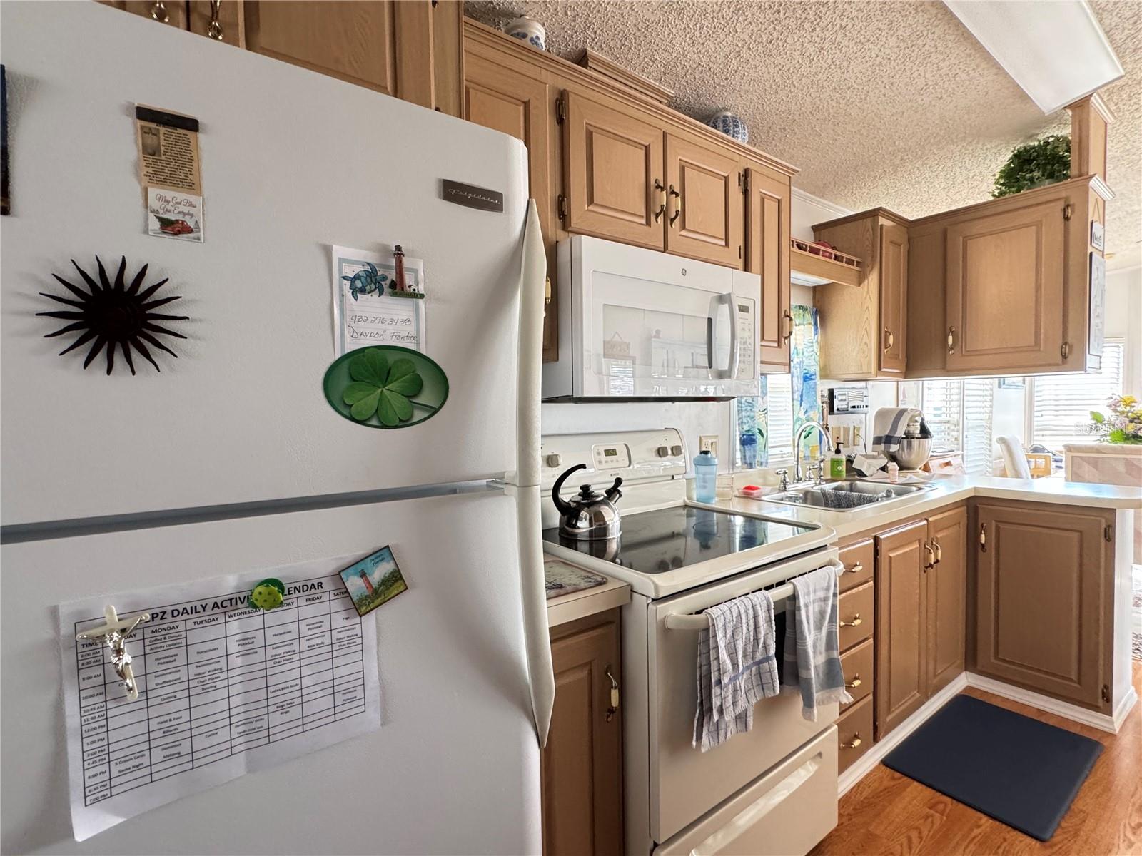 AMERICAN CONDOMINIUM PARKS ZEPHYRHILLS - Residential