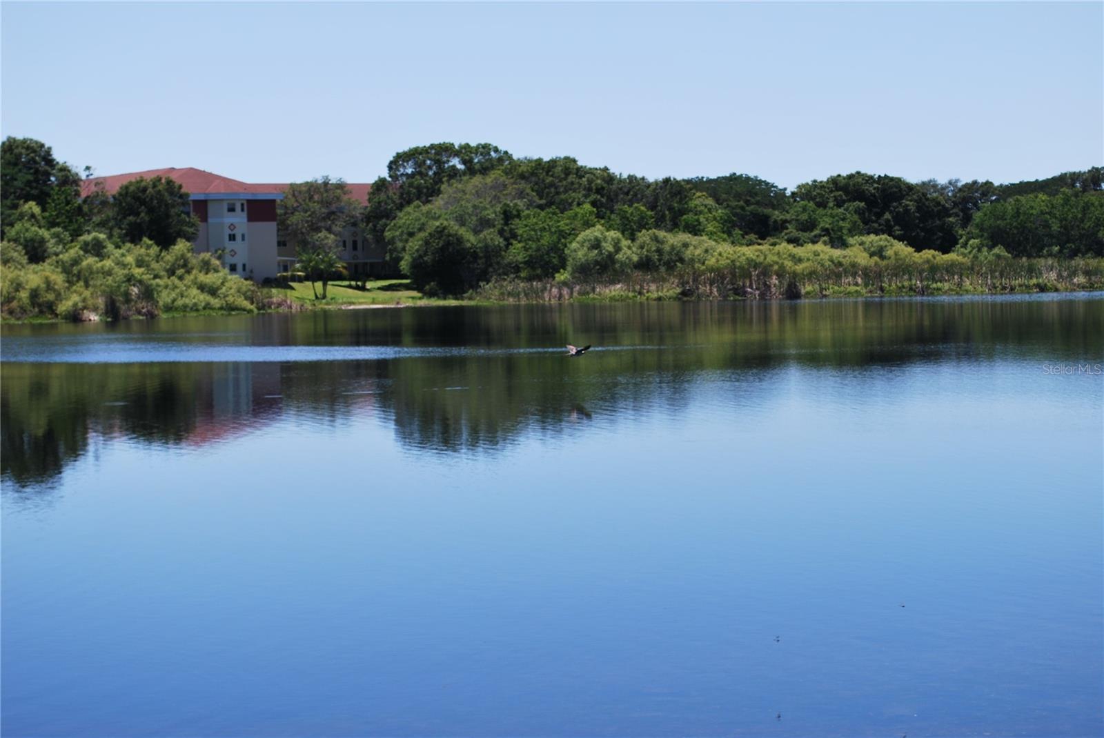 VILLAS OF LAKE ARBOR - Residential