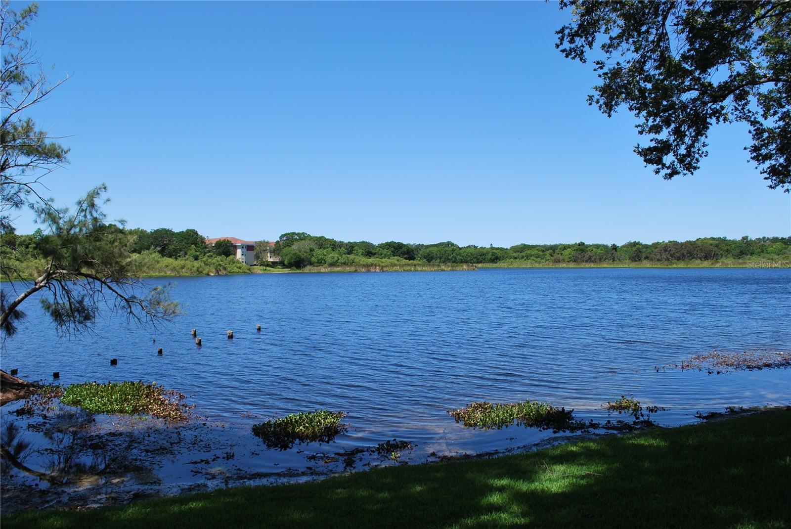 VILLAS OF LAKE ARBOR - Residential