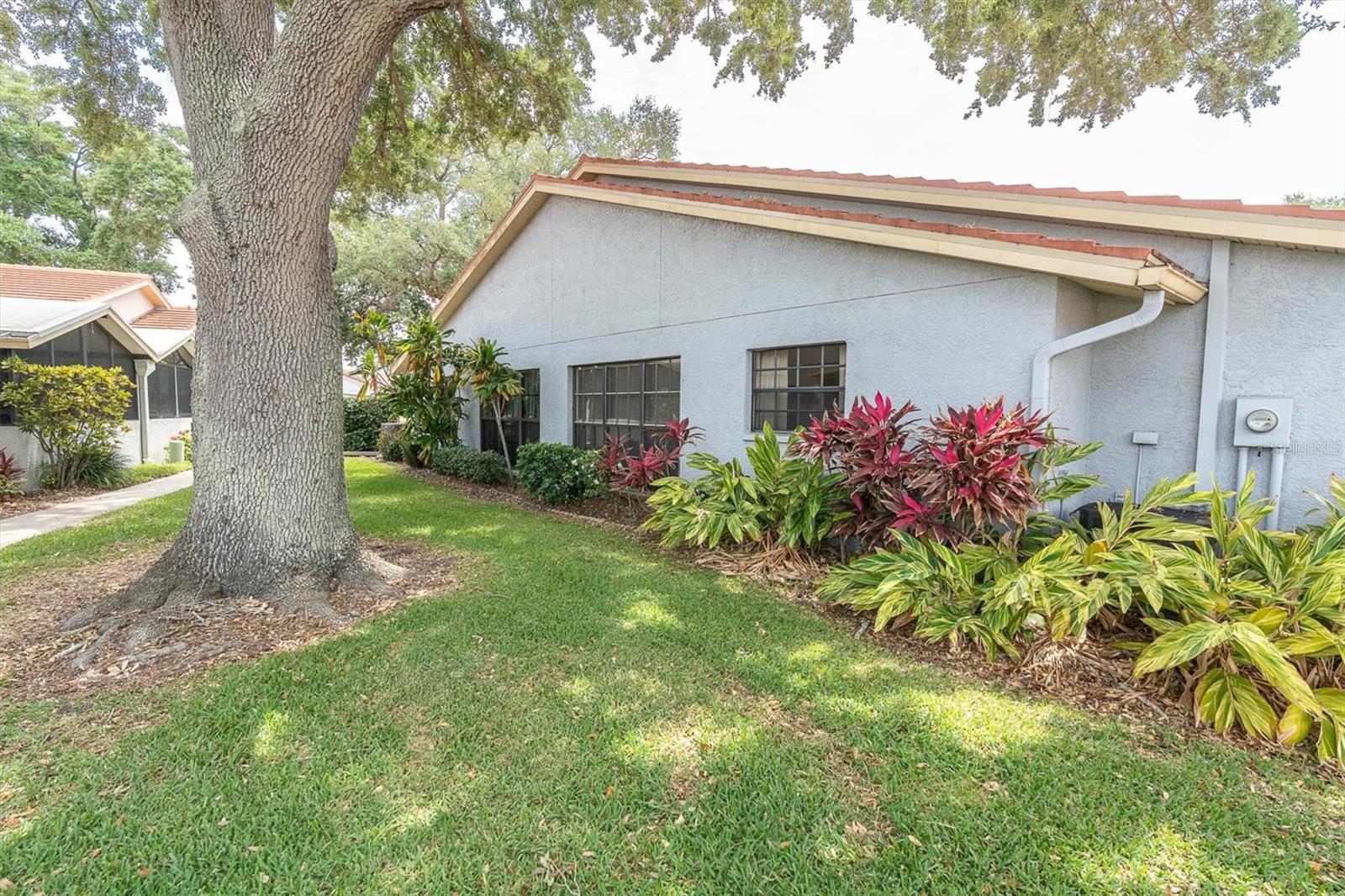 2023 NASH DRIVE