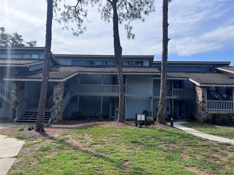 181 PALM VIEW COURT 3460/1 HAINES CITY FL 33844