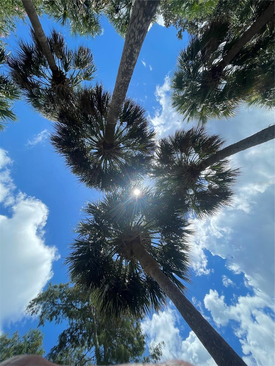 SEASIDE POINT - Residential Lease