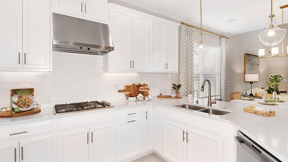 CASSIA AT SKYE RANCH - Residential