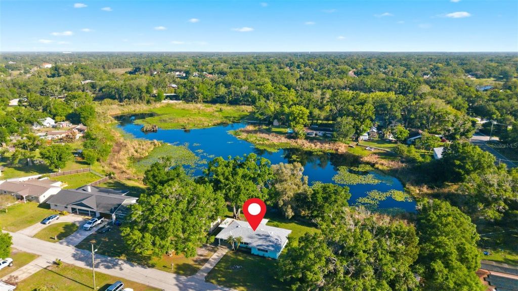 Photo of 910 Linwood Terrace, Lutz, FL 33549 (MLS # TB8491734)