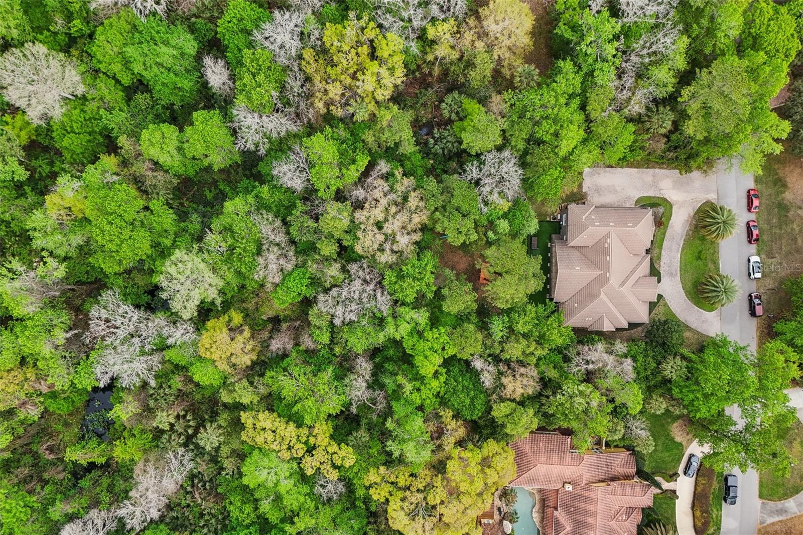 SPRINGS WILLOW RUN SEC THE - Residential