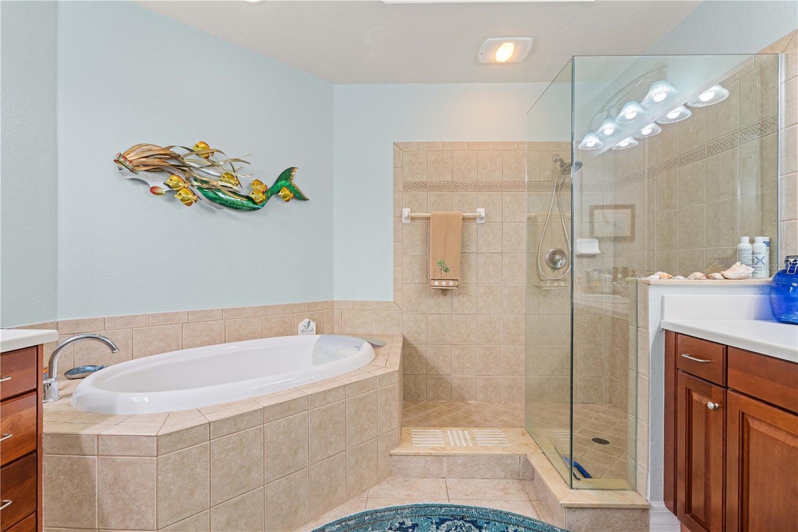 BOCA LAGO/VIVANTE V - Residential